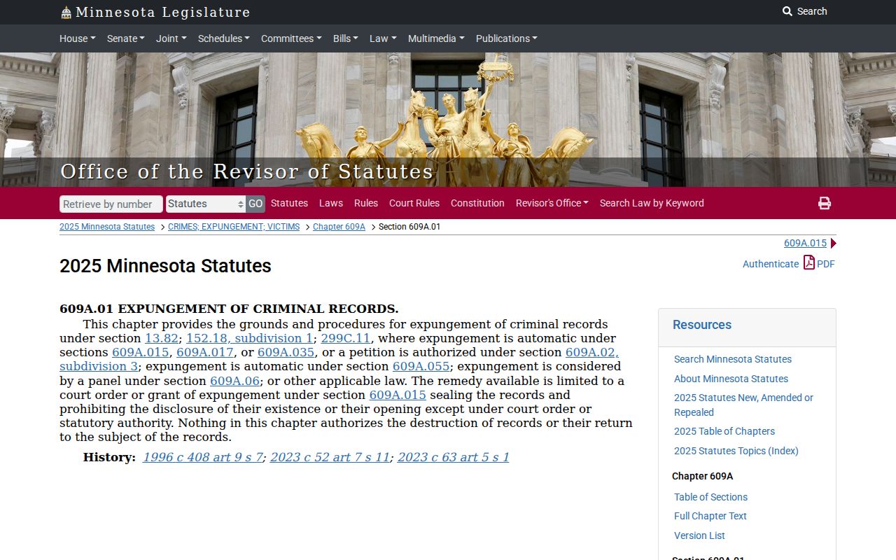 Blue Earth County criminal docket expungement record access statute
