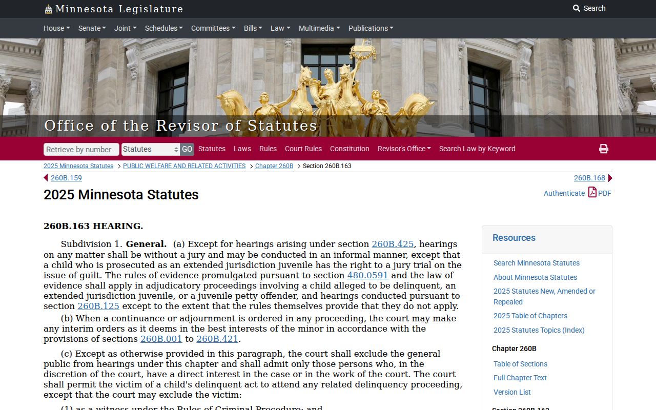 Blue Earth County criminal docket juvenile record access statute